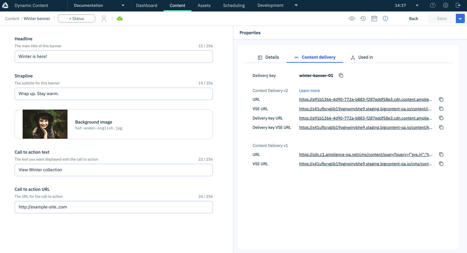Content properties- Content Delivery tab